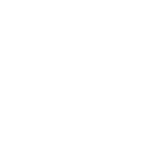 Naiane Barbosa - Desenvolvedora Web